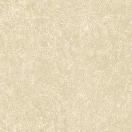 TRESPA METEON FOCUS Free Sample