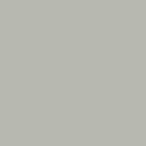 A03.4.0 Silver Grey Trespa® Meteon® Unicolor